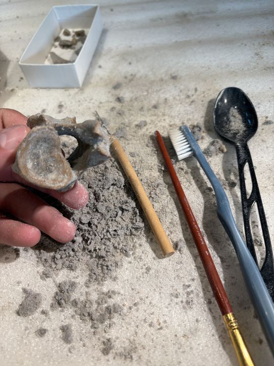 A hand holding a bone above a bench with a wooden dowel, toothbrush, spoon and paintbrush laid out beside a pile of ash
