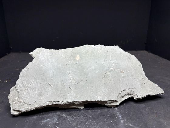 Slab with no visible fossil before preparation
