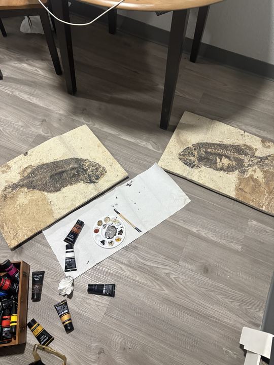 Two finished fish plates on a floor beside an artist palette, brushes and tubes of acrylic paint used for color matching
