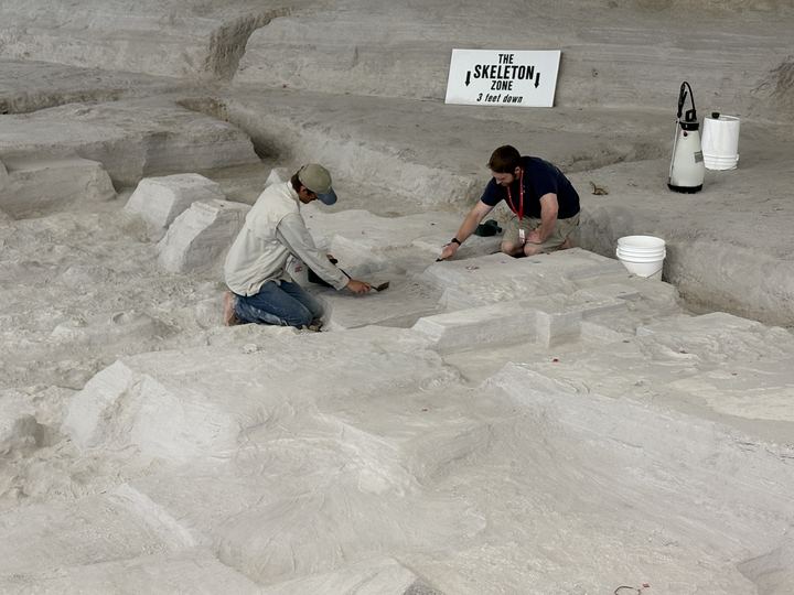 Two people kneeling on a pale ash surface, scraping down toward the skeleton level, with a sign reading The Skeleton Zone three feet down behind them